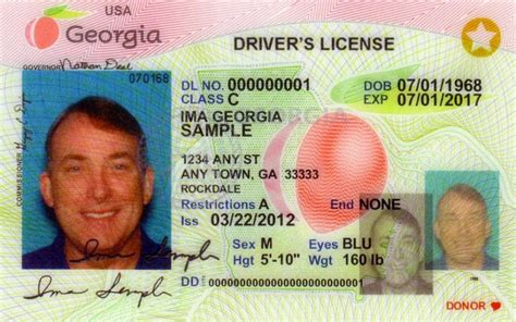renew ga state license